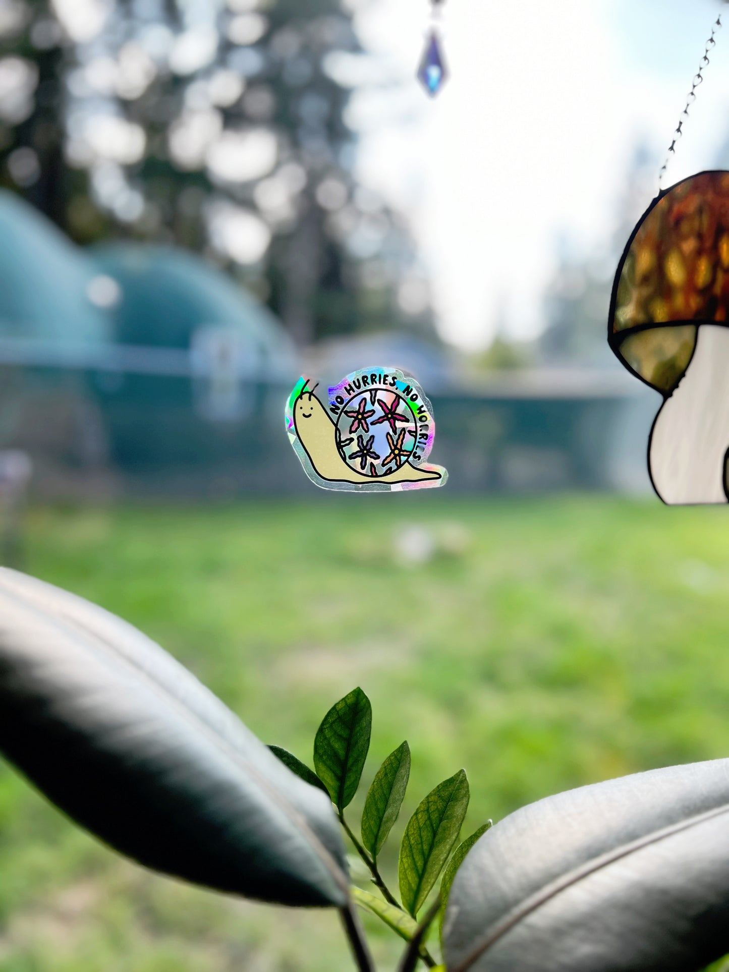 No Hurries, No Worries Snail Rainbow Sun Catcher
