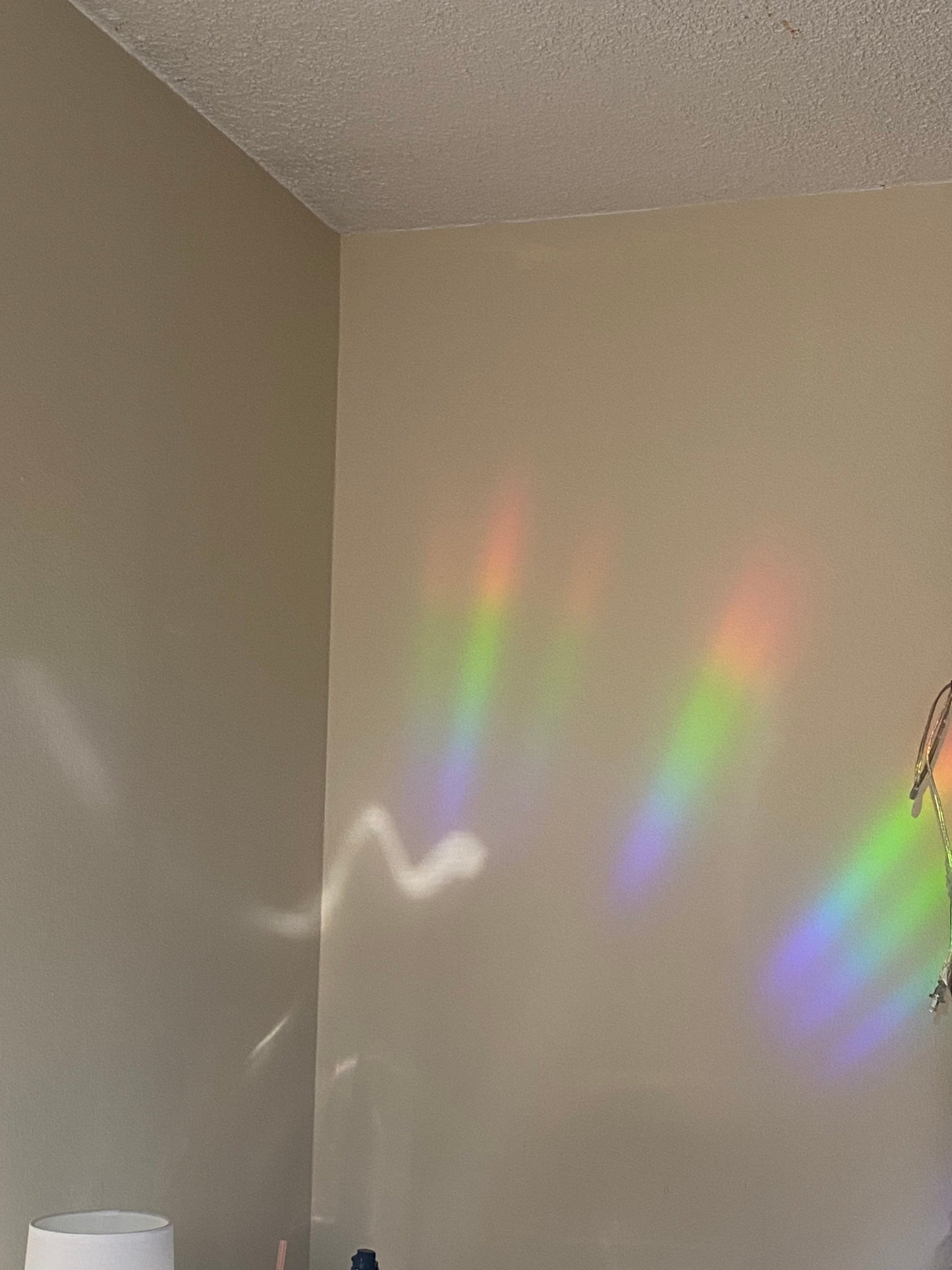 Don’t Feel Stuck Cactus Sun Catcher