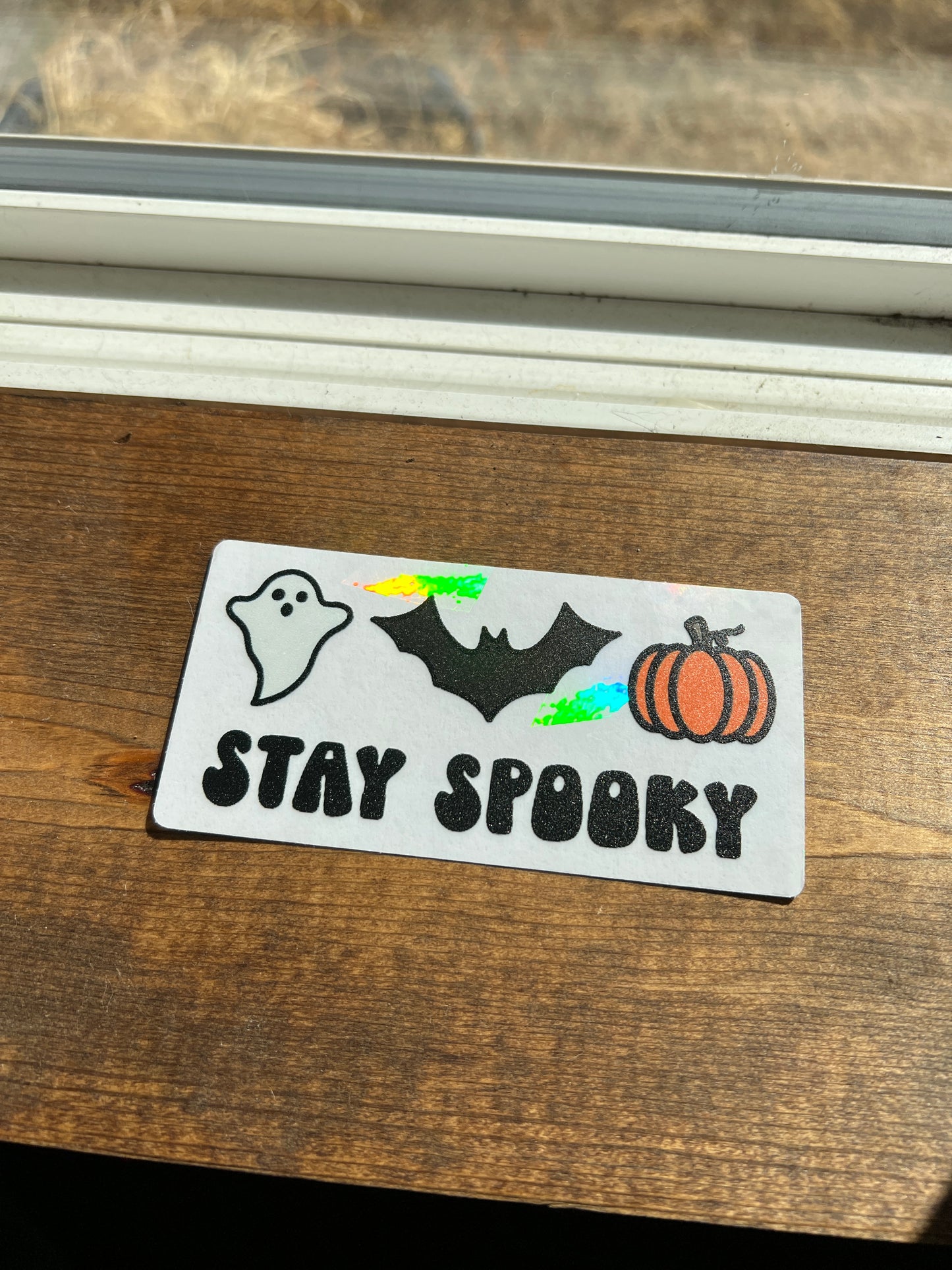 Stay Spooky Sun Catcher